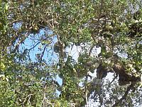 DSC00448