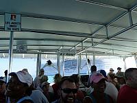 DSC00466