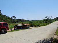 DSC00484