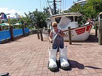 DSC00500