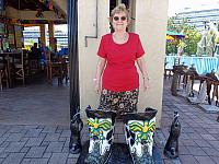 DSC00501