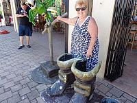 DSC00503