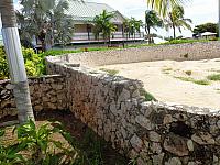 DSC00519