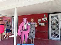 DSC00528