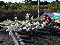DSC00897