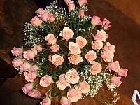 DSC00558