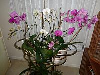 DSC00649