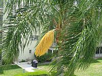 DSC00660