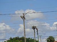 DSC00693