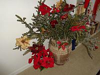 DSC00980