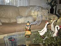 IMG 6978