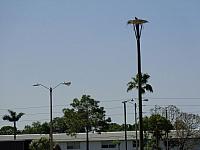 DSC07152