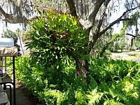 DSC07171