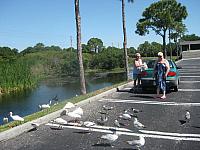 IMG 1430