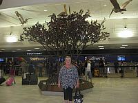IMG 1488