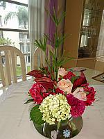 DSC07312