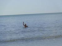 DSC07687 Indian Shores Beach Dec 25, 2016