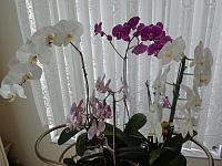 DSC07371