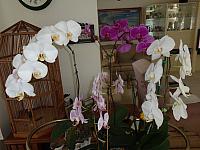 DSC07373