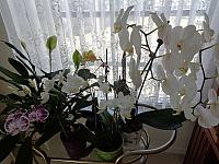 DSC07887