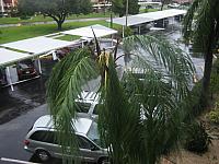 IMG 7270