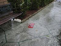 IMG 7276