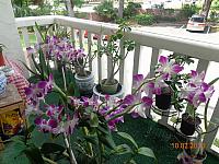 DSC09175
