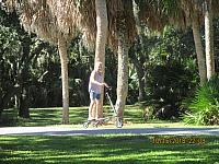 IMG 0041