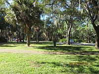 IMG 0042