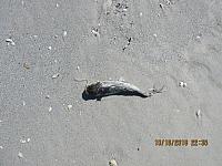 IMG 0048