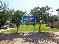 DSC08438