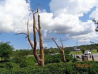 DSC08439