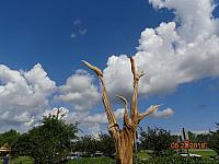 DSC08441