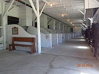 DSC08551