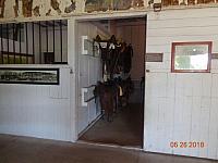 DSC08553
