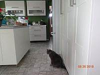 DSC08566