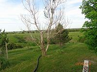 DSC08572