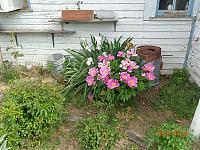 DSC08579
