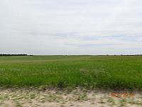 DSC08595