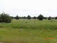 DSC08598