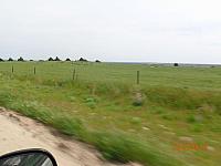DSC08602