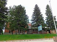 DSC08695