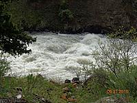 DSC08751