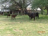 DSC08900