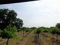 DSC08920