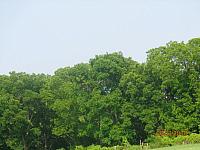 DSC08931