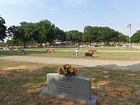 DSC08940