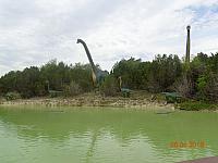 DSC08968