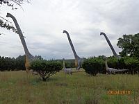 DSC08969