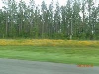DSC09051